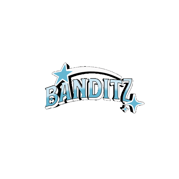 BANDITZ-shop